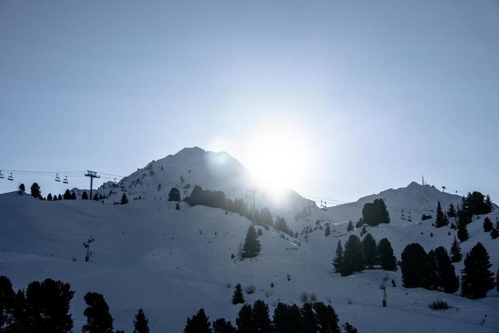 Chalet Hotel Turquoise La Plagne-Tarentaise Экстерьер фото